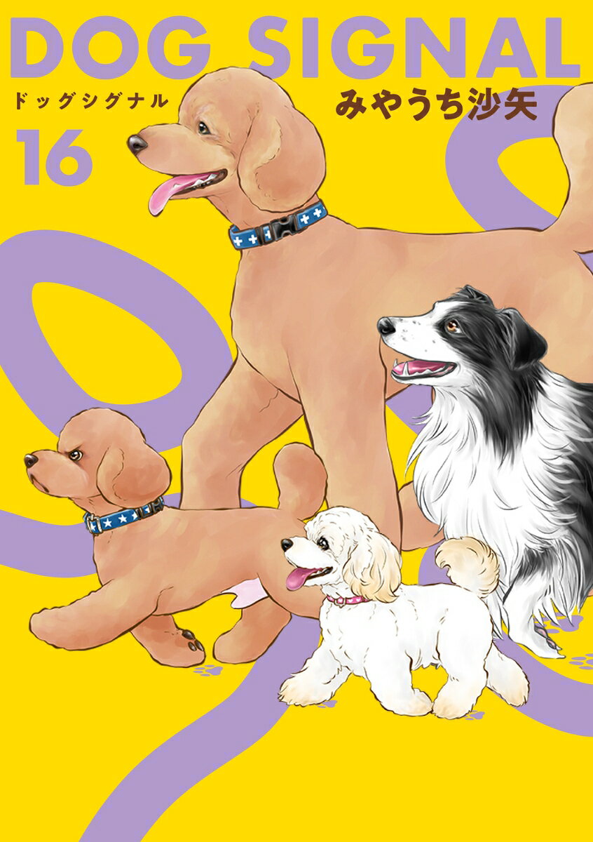 DOG　SIGNAL　16
