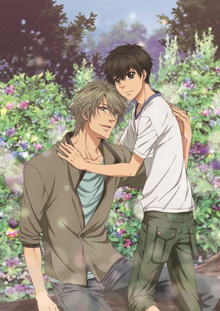 SUPER LOVERS 2 第5巻【Blu-ray】