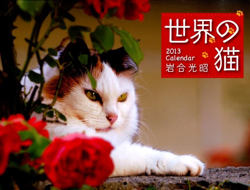 世界のねこカレンダー 2013