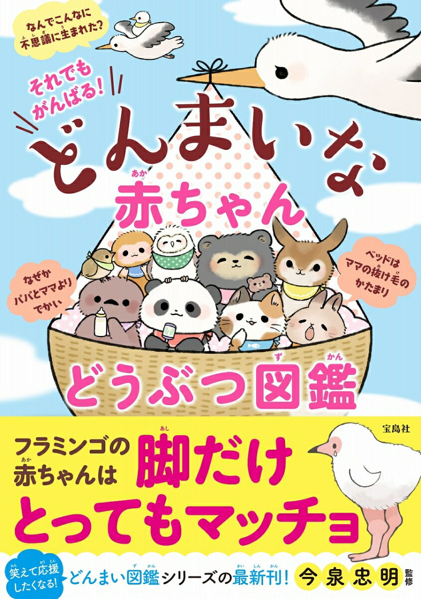 それでもがんばる！どんまいな赤ちゃん動物図鑑 [ 今泉忠明 ]