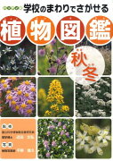 学校のまわりでさがせる植物図鑑（秋冬）