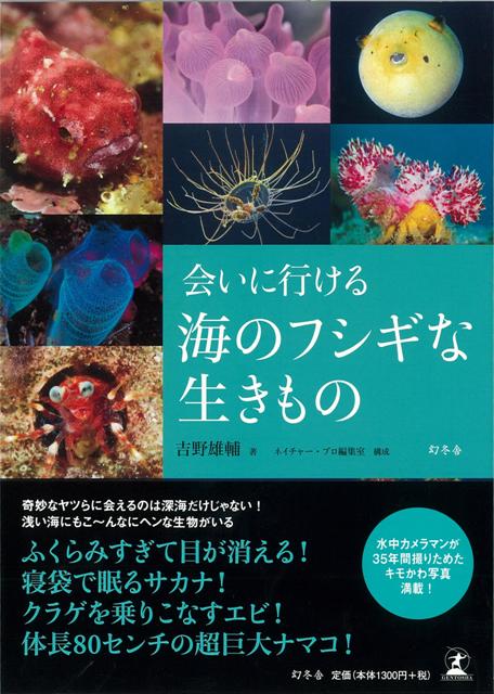 【バーゲン本】会いに行ける海のフシギな生きもの
