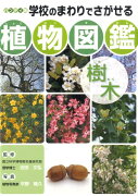 学校のまわりでさがせる植物図鑑（樹木）