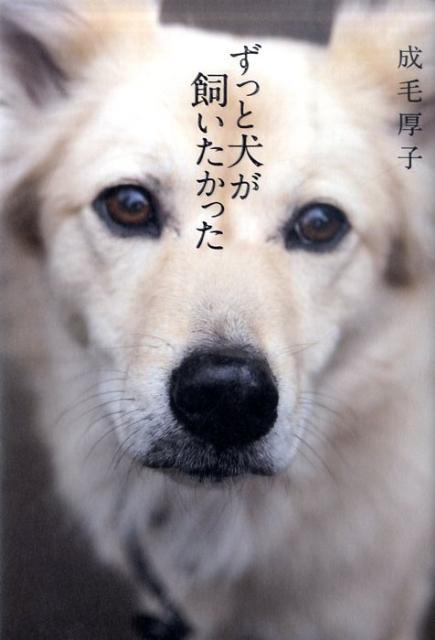 ずっと犬が飼いたかった