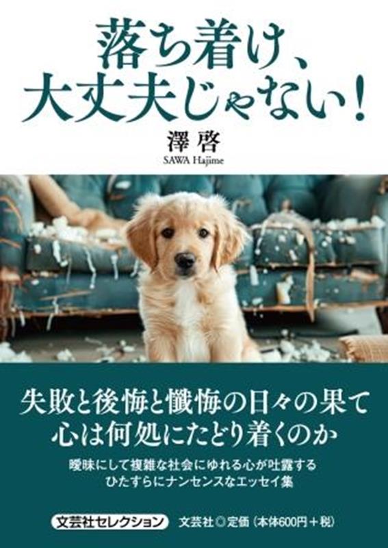 落ち着け、大丈夫じゃない！