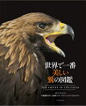 強さや気品、巧みな飛翔能力や狩りの腕前などが合わさった、独特の魅力を放つ鷲たち。彼らほど人間の想像力に働きかけてきた動物は、そういないだろう。鷲の持つ性質は、自由、力、勇気、プライドといったものの象徴とされ、宗教的な儀式から映画や音楽に至るまで、あらゆるもののシンボルとして掲げられてきた。鳩ほどの大きさしかないコビトクマタカから、体長が１ｍを超えることもあるオオワシまで、大きさや外見は実にさまざま。狩りの方法もまたそれぞれ。生息地も草原や砂漠から高山、湿地、熱帯雨林、そして海洋島まで多岐にわたる。そんな鷲たちは、それぞれの生息地でどのような進化を遂げてきたのか。繁殖や狩りはどのように行うのか。そして各地域の文化との関わりや、彼らが直面する脅威とはー。本書では、世界中で現在認められている６８種のすべての鷲に関して、謎に満ちた生態や私たちとの関わりなどについて、美しい写真を交えながら紹介していく。