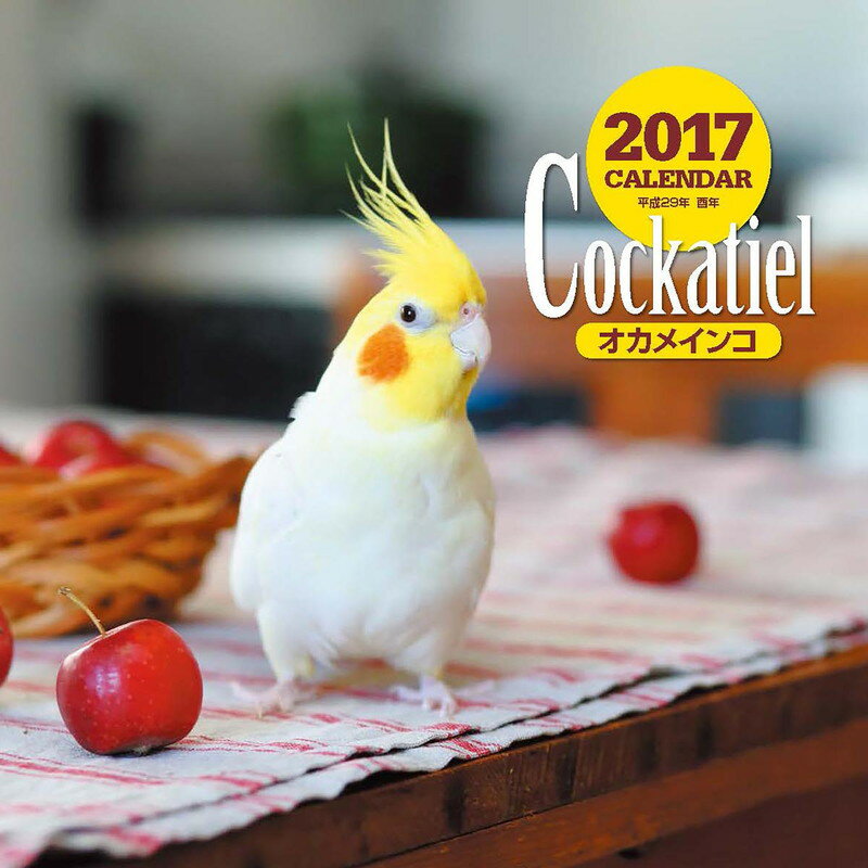 【壁掛】2017年大判カレンダー オカメインコ [ 蜂巣 文香 ]