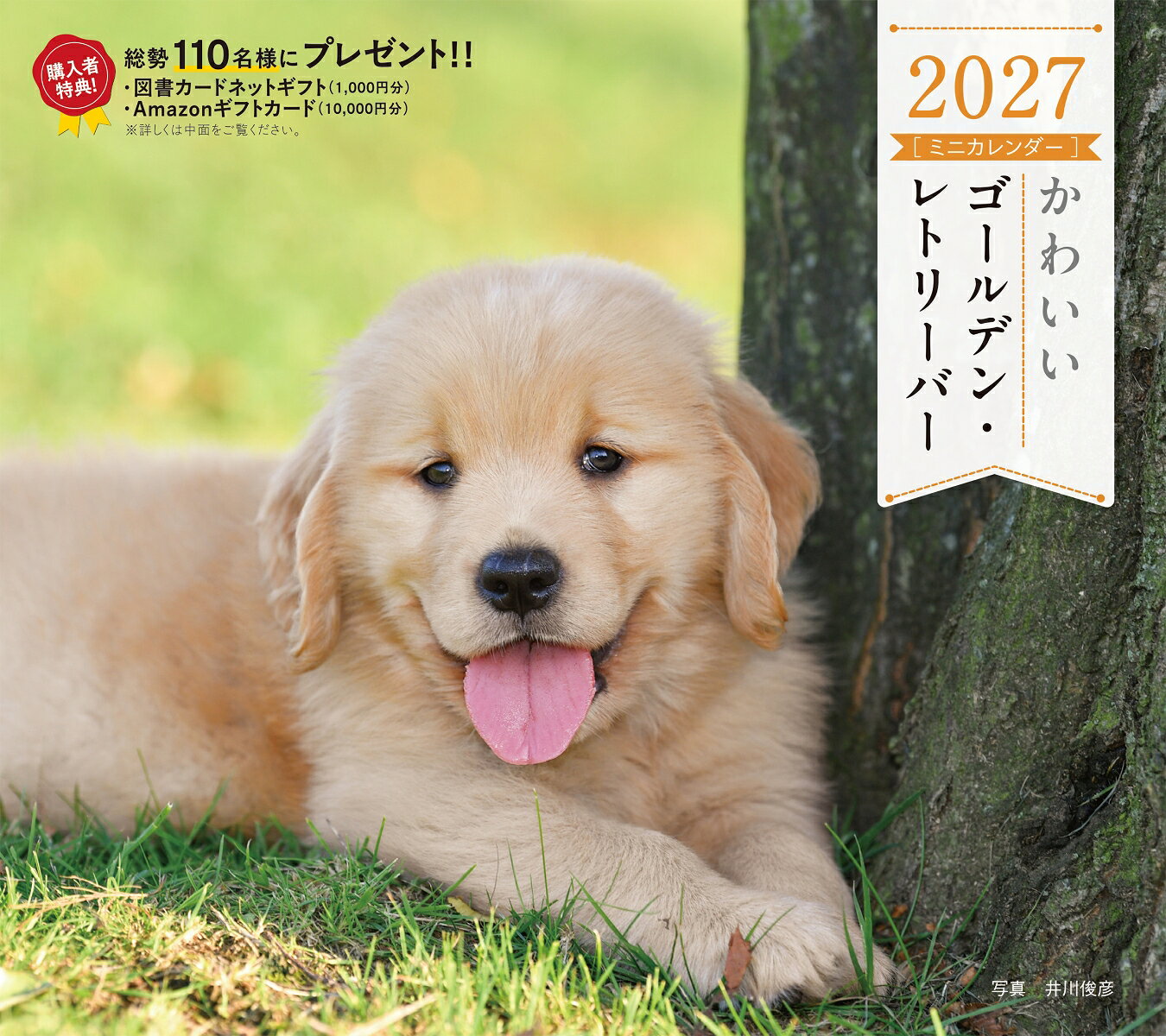 2027年カレンダー かわいいゴールデン・レトリーバー 書影