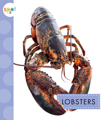 Lobsters LOBSTERS （Spot Ocean Animals） 