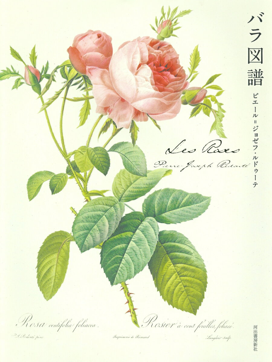 Les　Roses　バラ図譜