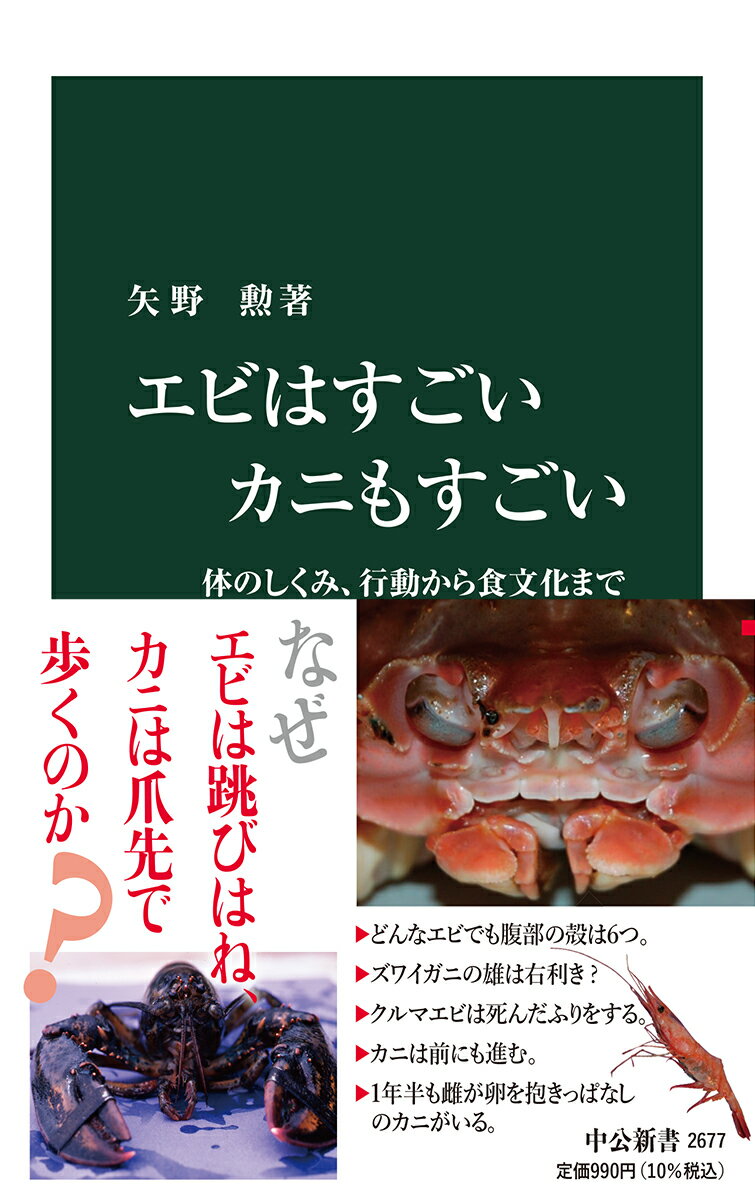 みんなが大好きなエビとカニ。しかし、その体のしくみや行動は意外に知られていない。なぜエビ・カニは茹でると赤くなるのか。エビがプリプリの理由は？カニの横歩きの秘密は？エビ・カニとシャコやヤドカリとの違いとは？さらには何百ｋｍも渡りをするエビ、ハサミをパチンと閉じてプラズマを発生させ獲物を倒すエビ、毒を持つイソギンチャクをはさんで身を守るカニ等、多種多彩なエビ・カニのすごい生き方を紹介する。