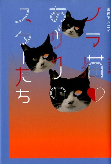 どんな猫でも幸せなスターになれます。しかし、その権利を自ら主張できないので、スカウトする者が必要なのです。