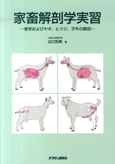 家畜解剖学実習