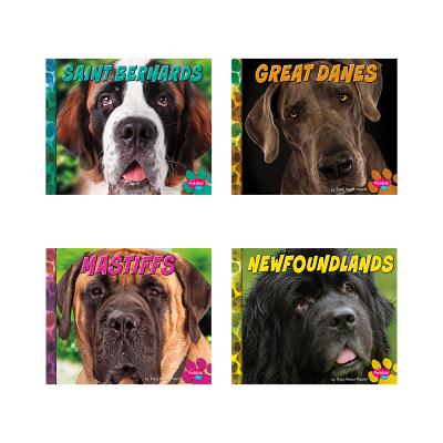 Big Dogs BIG DOGS （Big Dogs） [ Nikki Bruno Clapper ]