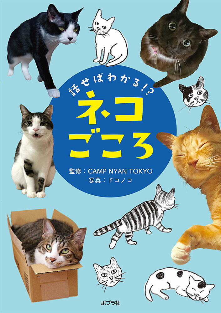 話せばわかる！？　ネコごころ （単行本　258） 