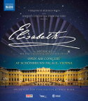 ミュージカル『エリザベート』 シェーンブルン宮殿コンサート(2022)【Blu-ray】 [ (ミュージカル) ]