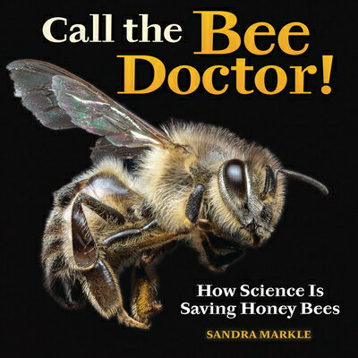 Call the Bee Doctor!: How Science Is Saving Honey Bees CALL THE BEE DR （Sandra Markle's Science Discoveries） [ Sandra Markle ]