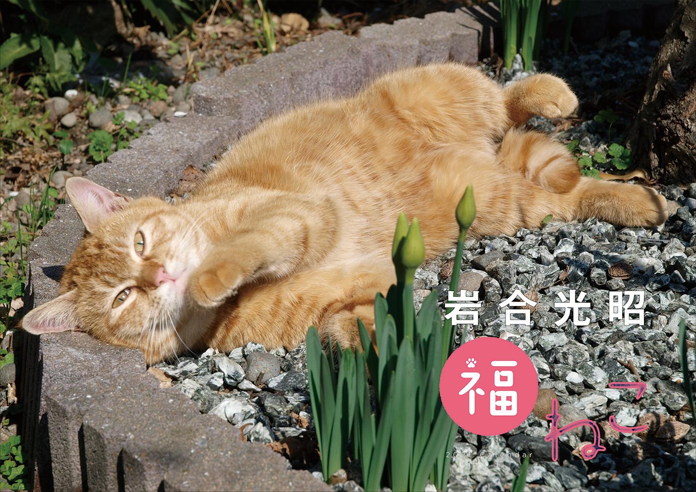 岩合光昭 福ねこカレンダー2021