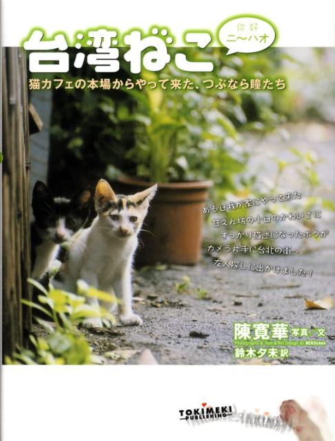 台湾ねこニ〜ハオ