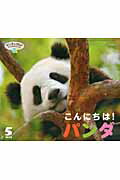 こんにちは！パンダ