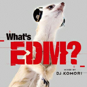 WHAT��S EDM��