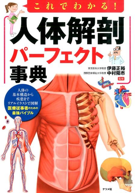 これでわかる！人体解剖パーフェクト事典