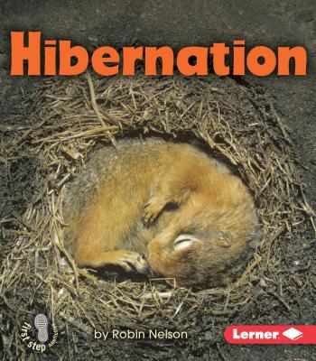 Hibernation HIBERNATION （First Step Nonfiction -- Discovering Nature's Cycles） [ Robin Nelson ]