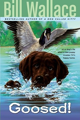 GOOSED Bill Wallace Jacqueline Rogers ALADDIN2004 Paperback English ISBN：9780689866814 洋書 Books for kids（児童書） Juvenile Fiction
