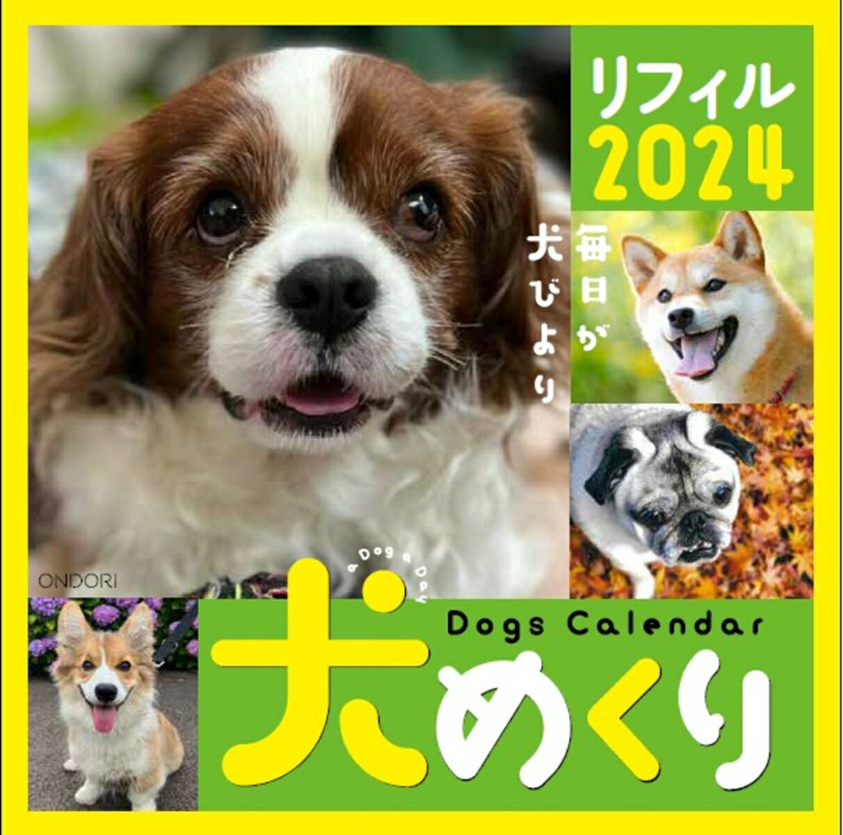 Dogs Calendar 犬めくり リフィル2024 毎日が犬びより