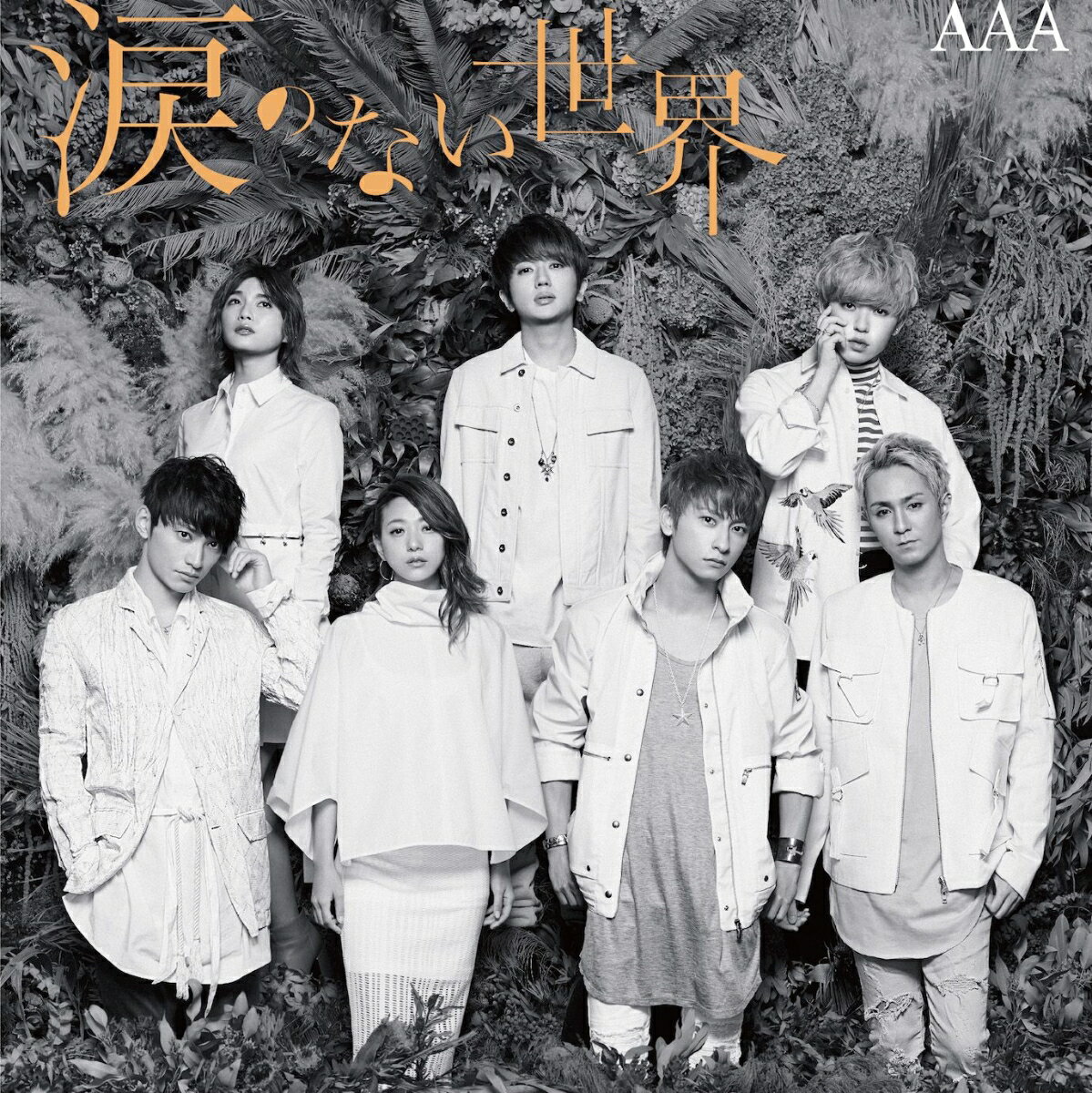 涙のない世界 (CD＋DVD) [ AAA ]
