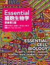 Essential細胞生物学 原書第5版 [ 中村桂子 ]