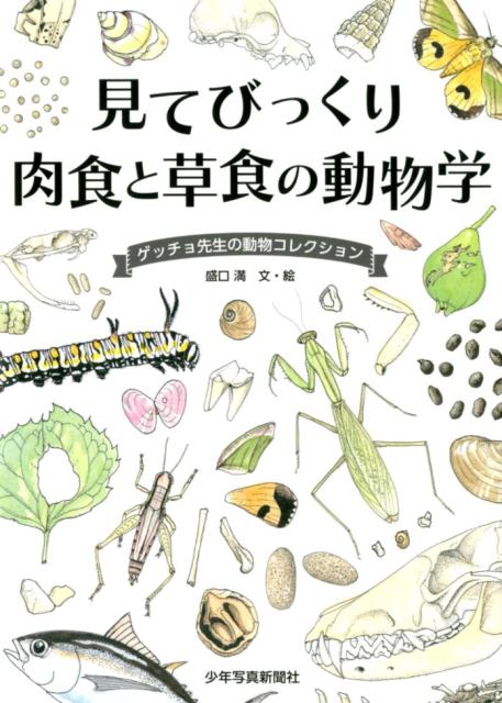 見てびっくり 肉食と草食の動物学