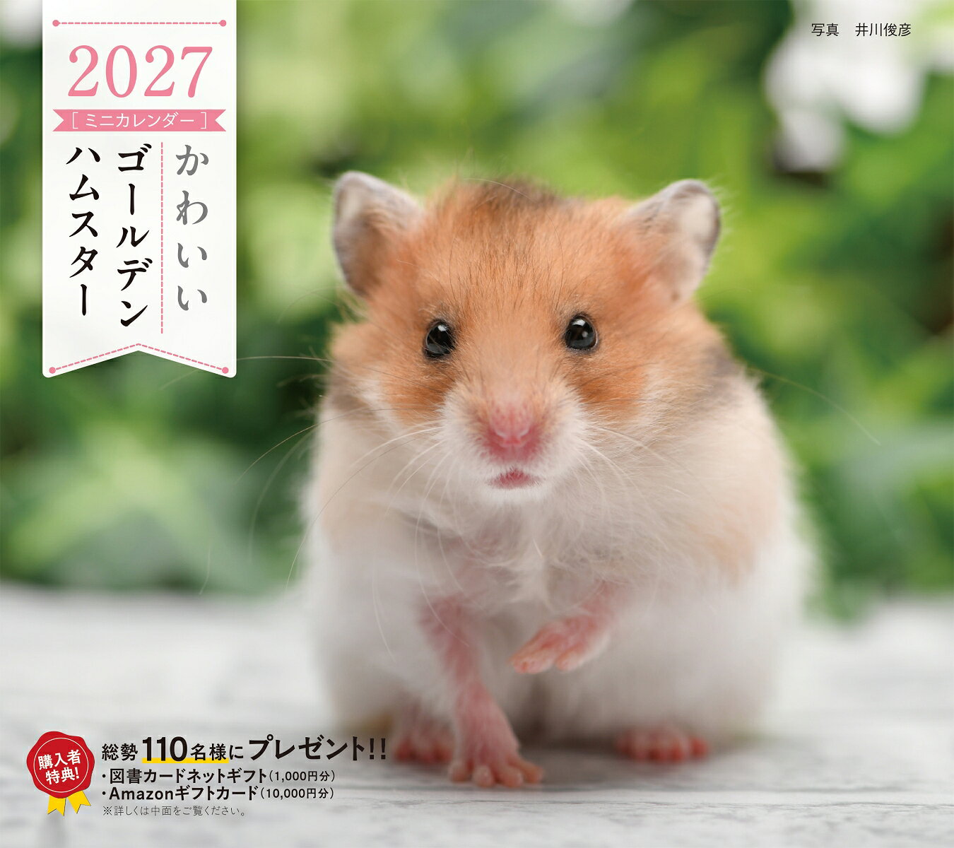 2027年カレンダー かわいいゴールデンハムスター 書影