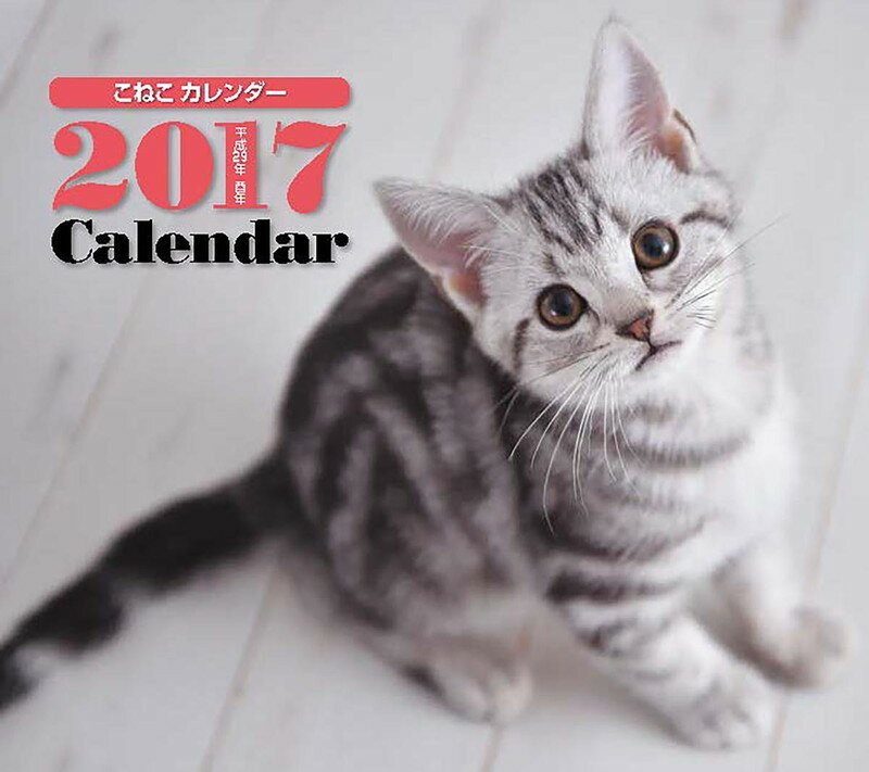 2017ǯ�ߥ˥������� ���ͤ�