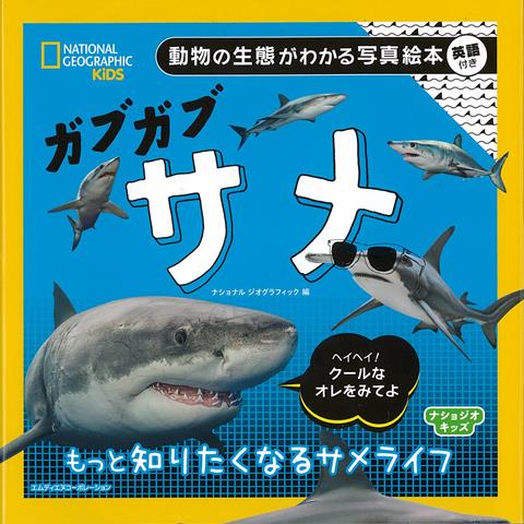 【バーゲン本】ガブガブサメー動物の生態がわかる写真絵本 英語付き （ナショジオキッズ） ナショナルジオグラフィック 編