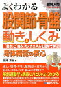 図解入門よくわかる股関節・骨盤の動きとしくみ 「動き」と「痛み」のメカニズムを図解で学ぶ！　身体 （How-nual　visual　guide　book） [ 國津秀治 ]