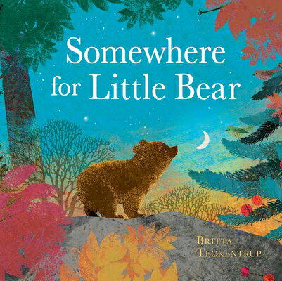 Somewhere for Little Bear SOMEWHERE FOR LITTLE BEAR 