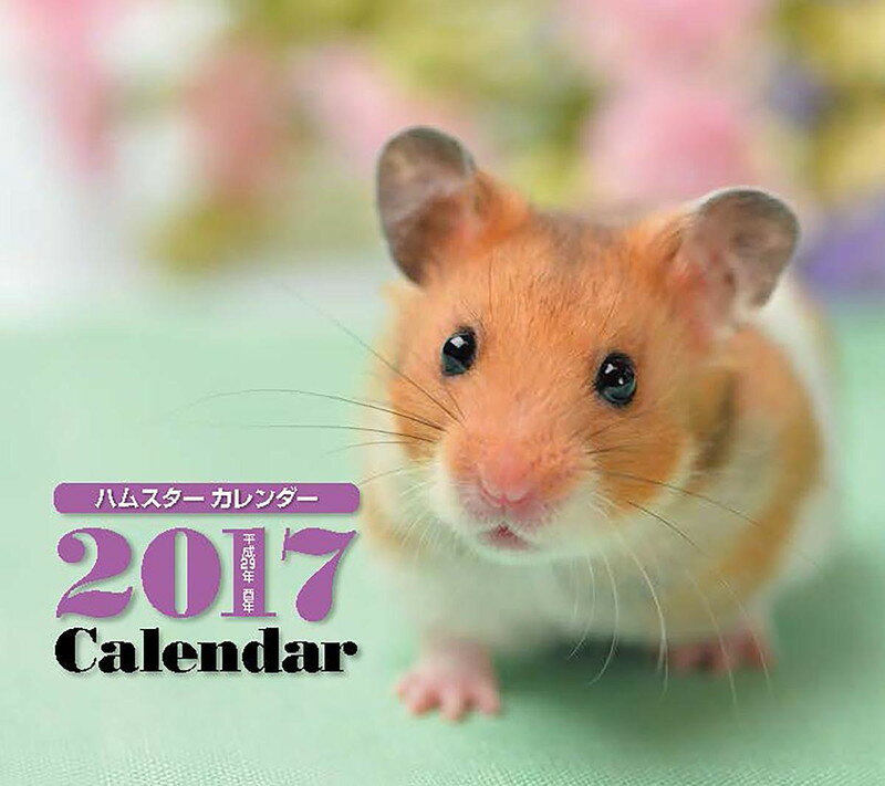 2017ǯ�ߥ˥������� �ϥॹ����