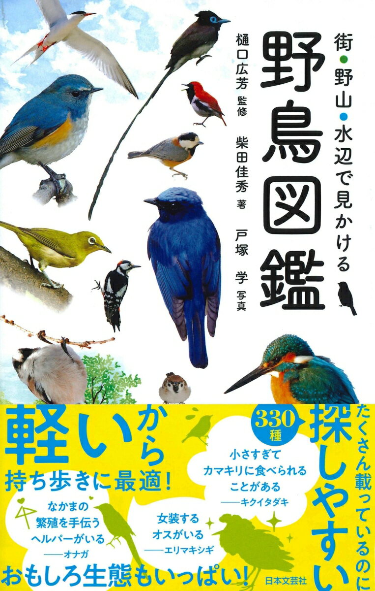 街・野山・水辺で見かける 野鳥図鑑