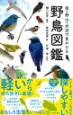  街・野山・水辺で見かける 野鳥図鑑