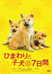 ひまわりと子犬の7日間 [ 堺雅人 ]