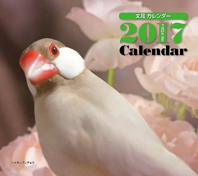 【壁掛】2017年ミニカレンダー 文鳥