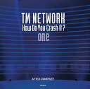 TM NETWORK How Do You Crash It? one After pamphlet