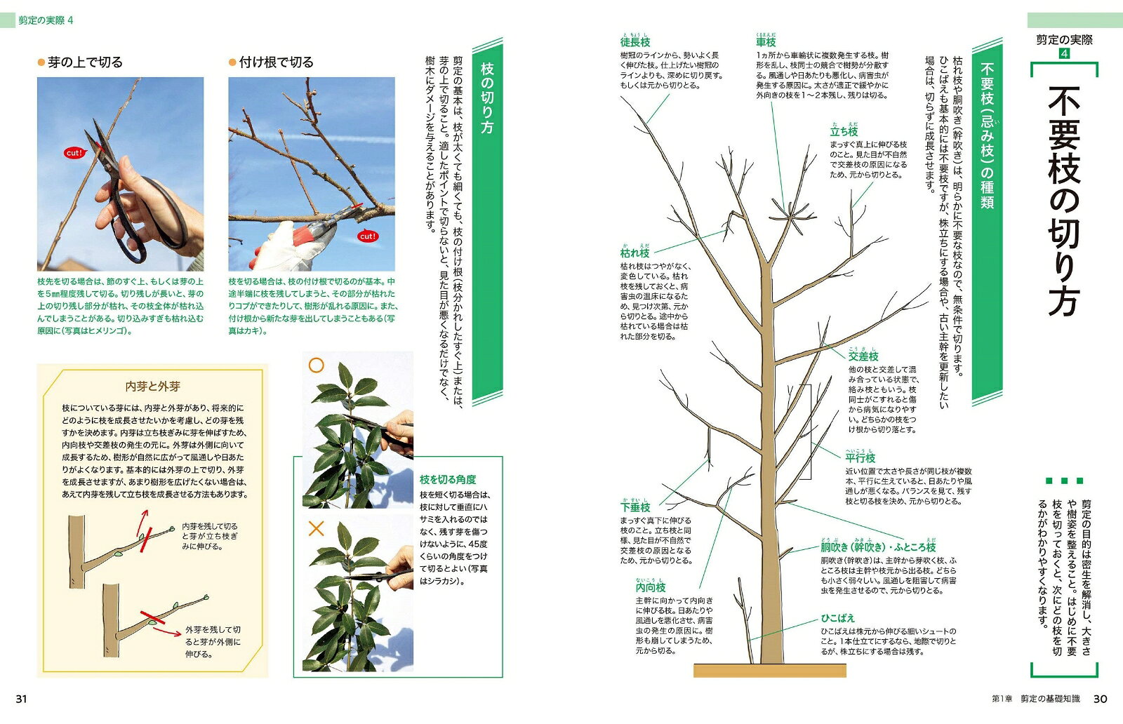 いちばんわかりやすい　庭木の手入れと剪定 [ 宮内　泰之 ]