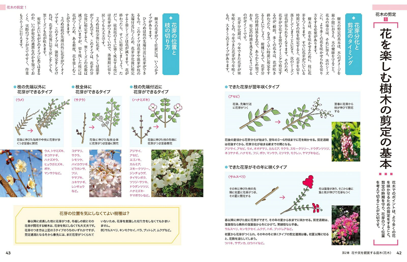 いちばんわかりやすい　庭木の手入れと剪定 [ 宮内　泰之 ]
