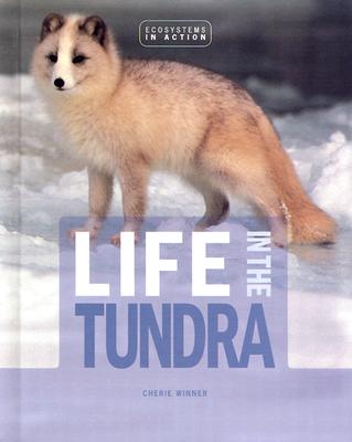 Life in the Tundra LIFE IN THE TUNDRA -LIB （Ecosystems in Action） [ Cherie Winner ]