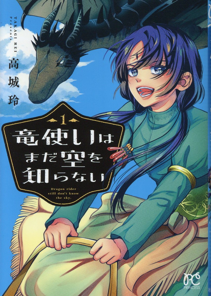 竜使いはまだ空を知らないの表紙