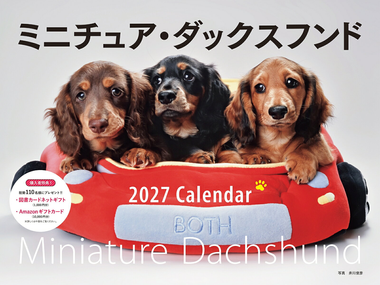 楽天市場】ダックス カレンダーの通販