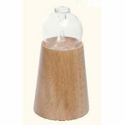 08-801-0070 ���å��󥷥�륪����ǥ��ե塼���� �ȥ���