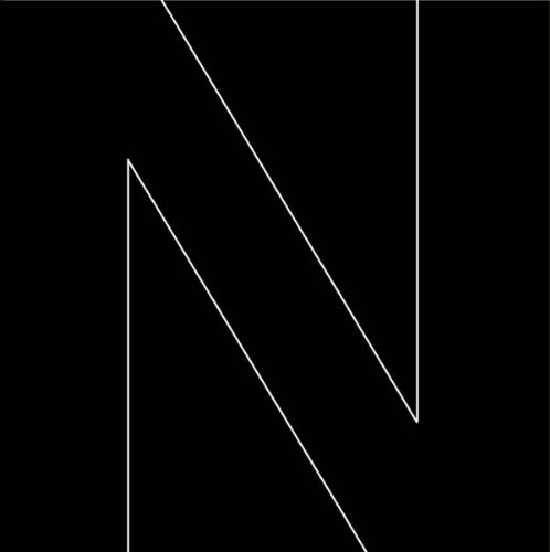 N [ にせんねんもんだい ]